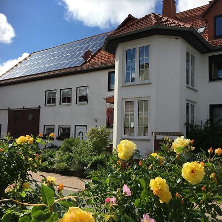 Gallowayhof Am Edersee Vöhl Eksteriør bilde